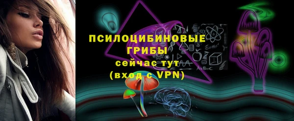 бошки Алексин