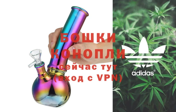 бошки Алексин