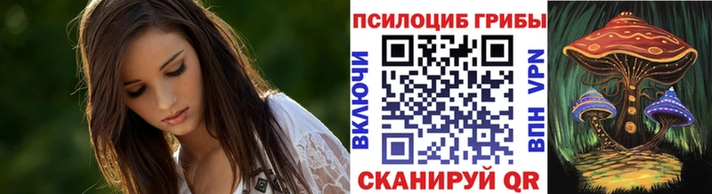 как найти OMG как зайти Галлюциногенные грибы Cubensis Каменка